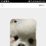 [댓글부탁해] +) 울<b>집</b> 댕댕이 <b>사진</b>으로 폰케 만들건데 <b>사진</b> 좀...