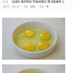 [댓글부탁해] 디씨의 특이<b>식성</b> 빌런