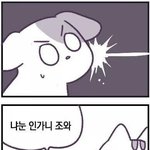 [드루와] 인스타 팔로워 돈주고 산애들
