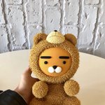 [댓글부탁해] 직접 만든 19곰<b>테드</b>+라이언