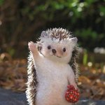 [EXO] 엑소는 아니지만 귀여움