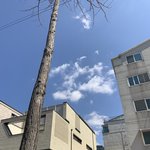 오늘 <b>하늘</b> 완전 이쁘지 않았냐