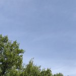 7년<b>지나</b>도 해체 안하는 아이돌은