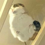 [댓글부탁해] <b>1</b>년 연봉이 <b>1</b>억이면 잘 버는거야?