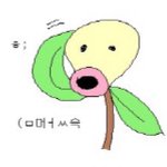 [댓글부탁해] 고2인데 영어 기초도 몰라