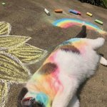 [댓글부탁해] <b>crazy</b>