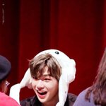 [강다니엘] 녤보싶