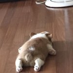 [댓글부탁해] 여자들은 <b>이민</b>안감??