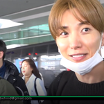 [슈퍼주니어] 슈퍼주니어 입국 방가방가