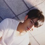 [세븐틴] ㅅㄷ근데...굳이 꼬잉이 <b>격주</b>여야하나...