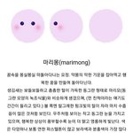 옵치질문ㅇㅇ