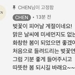 [EXO] 벚꽃 피는 계절이라고 벚꽃<b>연가</b> 올려줌 김다정ㅠㅠㅠㅠㅠㅠ