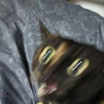 [댓글부탁해] 주변에 <b>넉살</b> ㅈㄴ 좋은 사람있냐