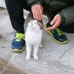 [댓글부탁해] 상메ㅇㄸ
