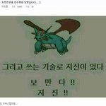 [댓글부탁해] <b>강쥐</b> 키우는애들아 들어와바ㅠㅠ