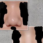 뚱뚱코 <b>쉐딩</b> 내버전ㅋㅋ