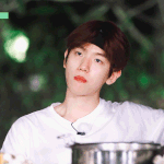 [EXO] 백현이 <b>냄비</b> 앞에서 왜 영화 찍어요?