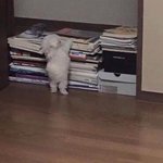 이거 <b>공황</b>장애일까?