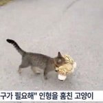 우리 엄마 넘 <b>귀여</b>웡