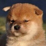 [댓글부탁해] 여자들은 언제 <b>이민</b>갈거??