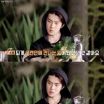 [세훈] 190326 엑<b>사세</b> ep47. 캡쳐2
