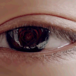 [댓글부탁해] 박지훈 눈에 비치는거 봤어??