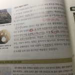 +나 졸면서 <b>필기</b>할때;;