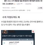이거 진짜면 <b>플</b><b>디</b> 굿이네