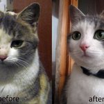 [EXO] 왘ㅋㅋㅋ 나 어질하고<b>아득</b>한밀었는데 진짜로