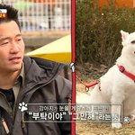 [<b>방탄소년단</b>] 어쩐지... 탄이갘ㅋㅋㅋㅋㅋㅋ