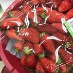 중2 수학 <b>노베</b> 중간 150등안에 들기 가능?ㅠ