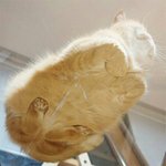 확실히 수학 <b>예습</b>이 짱이야
