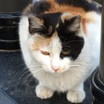[19] <b>빛삭</b>
