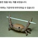 고 3들아 너희에겐 어떤 <b>위로</b>가 필요해?