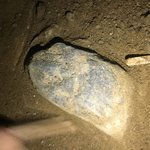 [이것좀봐줘] <b>화석</b> 발견한 듯