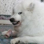 [드루와] 너네 지금 기분 두<b>단어</b>로 써봐