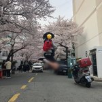 나 개<b>높이</b> 뛴 듯