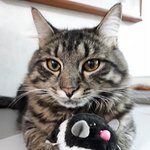 우리 달<b>봉이</b>를 소개합니다