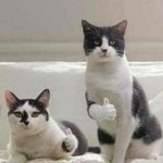 [댓글부탁해] 아 나 동아리 <b>직속선배</b> 진짜 좀...