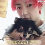 [댓글부탁해] 내 아이돌만큼 유명한 아이돌들의 반려동물 2탄