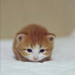 <b>짝녀</b>가 날 너무 조아해..