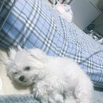 진짜 마음 약한 사람 <b>특징</b>이