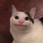 [댓글부탁해] +)<b>입술</b>에 섀도우 바르는게 글케 이상해? ㅠㅠ
