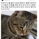 [조언부탁해] 얘들아나 내일 짝남 만나러 가 ㅜㅜㅜ