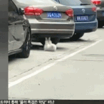 [댓글부탁해] 나 이런 상황인데 1년동안 <b>버틸</b>수있을까?