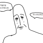 너네 영어 부교재 몇 <b>지문</b> 나와?