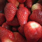 [추반] 아이폰 se2 언제쯤 나올 것 같애??