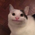 [댓글부탁해] <b>쌍수병원</b> 추천좀 ㅠㅠㅠ