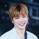 [강다니엘] 마음약한 녤부리들아