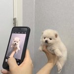 [댓글부탁해] <b>쌍수</b>시기랑 <b>병원</b>추천좀